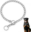 Slip P Chain for Dogs,Stainless Steel Training Link Martingale Collars Puppy Chain for XXS XS Small Medium Large Breed Dogs, Silver XL
