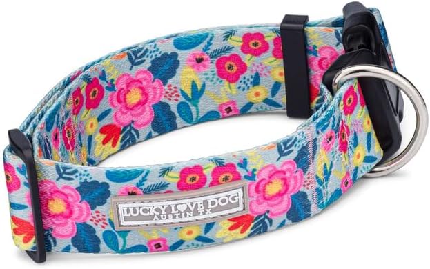 Lucky Love Dog Wide Dog Collar - Adjustable, Durable, Soft Webbing, & Comfortable 1.5 inch Wide Collar for Dogs Male and Female with Strong Buckle - Valentina, X-Large