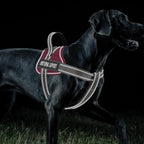 voopet Emotional Support Dog Harness, Professional Service Dog Vest Harness for Small Medium Large Dogs, Reflective Breathable and Adjustable No Pull/Choke ESA Essential Harness