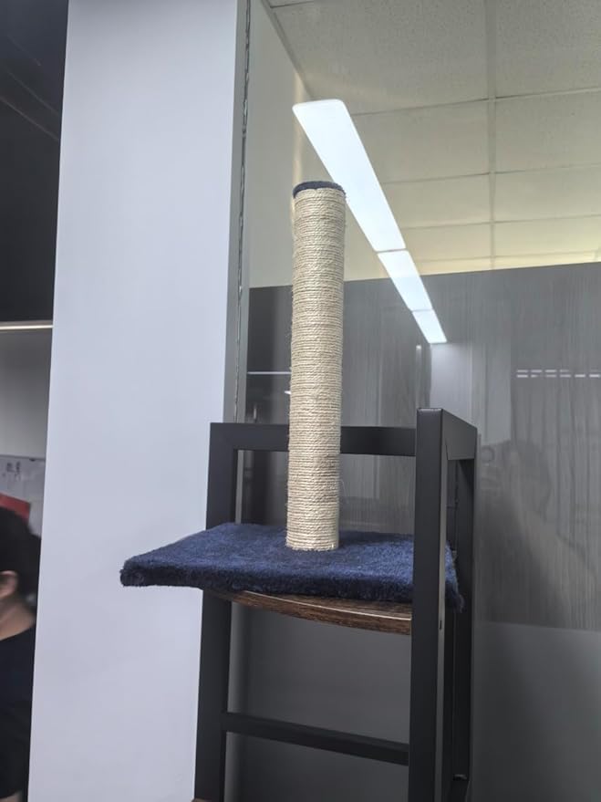 Multi-Level Cat Tree, Scratching Posts, Condo, Hammock