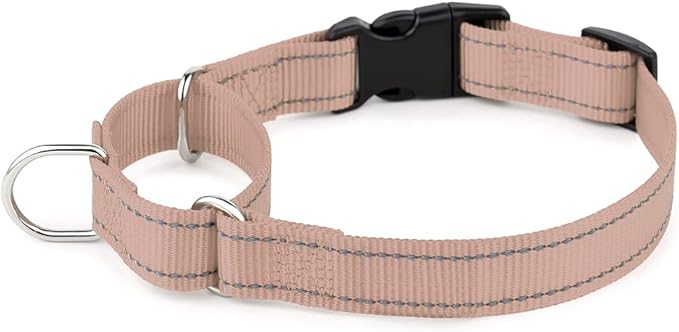 Plutus Pet Reflective Martingale Collar with Buckle - Durable and Adjustable Training Collar for No Pulling, Dog Choker Collar for Small Medium Large Dogs, Beige, M