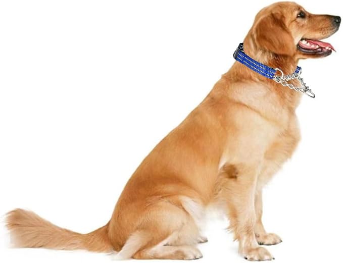 Martingale Collars for Dogs, Heavy Duty Stainless Steel Chain Training Collar, Reflective Nylon Adjustable Collar with Quick Release Buckle, Suitable for Puppy Medium Large Dogs((Blue, M)