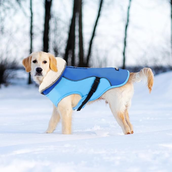 EMUST Dog Coat Winter, Warm Dog Snow Jacket for, Adjustable Small/Medium/Large Dogs Coat/s for Winter, New Blue, L