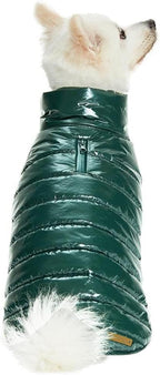 Blueberry Pet Cozy & Comfy Windproof Lightweight Quilted Fall Winter Glossy Dog Puffer Jacket in Hunter Green, Back Length 12.5", Size 10, Warm Coat for Small Dogs