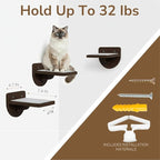 [Ready to Gift] PURRHOUSE 45LBS Capacity Cat Window Perch with Bolster, Hammock Seat with Premium Plywood & Metal Frame, Window Bed for Indoor Cats & Kittens (Walnut, Cat Wall Steps)