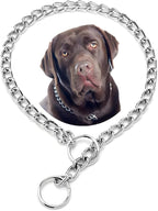 Chain Dog Collar for Large Dogs,Metal Slip Link Training Heavy Duty Dog Collar Martingale Puppy Collars for Small Medium Large Big XL Breed Dogs Silver L