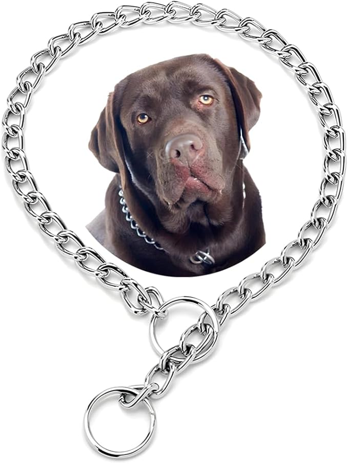 Chain Dog Collar for Large Dogs,Metal Slip Link Training Heavy Duty Dog Collar Martingale Puppy Collars for Small Medium Large Big XL Breed Dogs Silver L