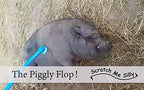 Scratch Me Silly 32-Inch Belly Scratcher for Animals – Ergonomic Dual-End Grooming Tool for Horses, Barnyard, Domestic & Zoo Animals – Lightweight, Long-Reach Grooming and Interaction Tool