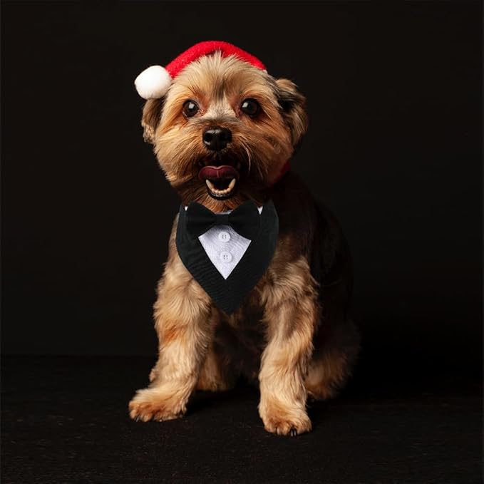 Dog Wedding Bandana, Formal Dog Tuxedo Adjustable Pet Collar with Bow, Small, Medium and Large Wedding Clothing, Birthday Gifts for Dogs (Small, Black)