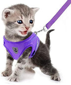 FEimaX Dog Harness and Leash Set for Walking, Soft Mesh Adjustable Easy Control Lightweight Cat Vest Harnesses with Reflective Strips, Escape Proof Small Dogs Cats Vests