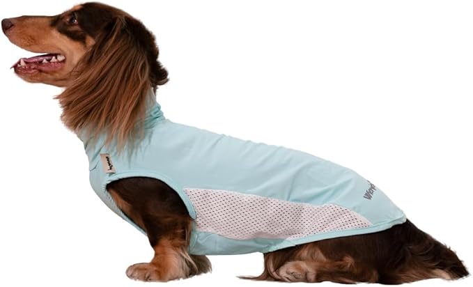 Dachshund Dog Cooling Vest, Breathable Summer Dog Cooling & Quick-Dry Shirt for Outdoor Activities,Mini Dachshund Lightweight Clothes, Vest Small Dogs (Blue, XS (4-7lbs))