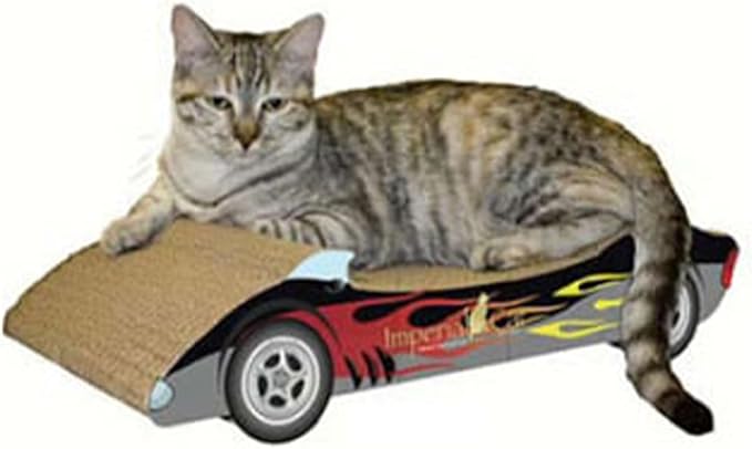 Racer Scratch 'n Shape, Black