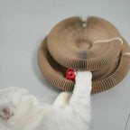 Kitten Curl Cat Toy, Magic Organ Cat Scratch Board, Foldable Cat Accordion Toy, Interactive Scratch Pad Cat Toy with Toy Bell Ball, Cat Scratchers for Physical Exercise Cats Indoor (1PC)