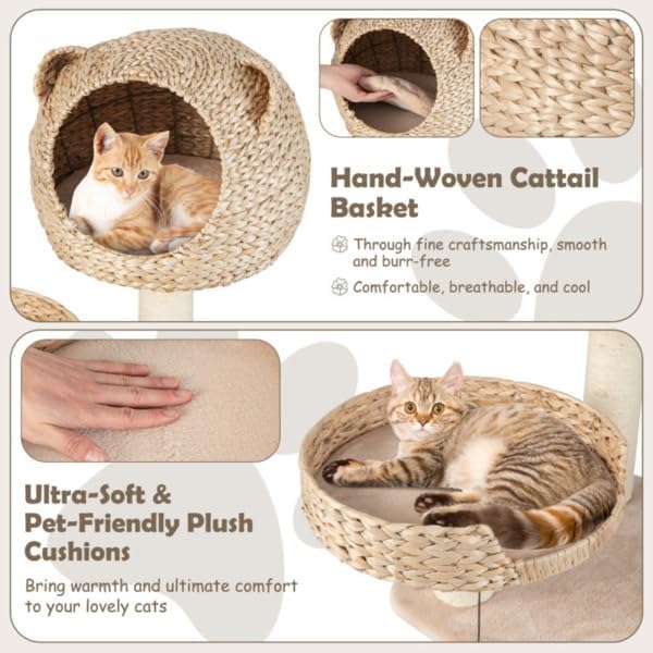 Five-Story cat Tree with Hammock