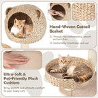 Five-Story cat Tree with Hammock