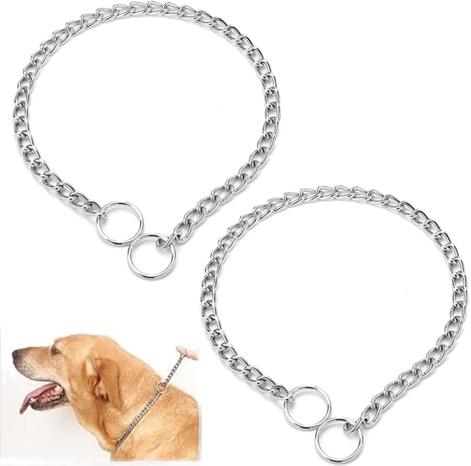 Silver Chain Choke Collar for Dogs, 2Pack Metal Slip P Link Training Heavy Duty Dog Choker Collar Martingale Collars Puppy Chain for XXS XS Small Medium Large Breed Dogs, XXS