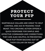 Wolfgang Heavy Duty Martingale Dog Collar with Quick Release Nylon Buckle for Walking & Training, LazyDaisy Print, Medium