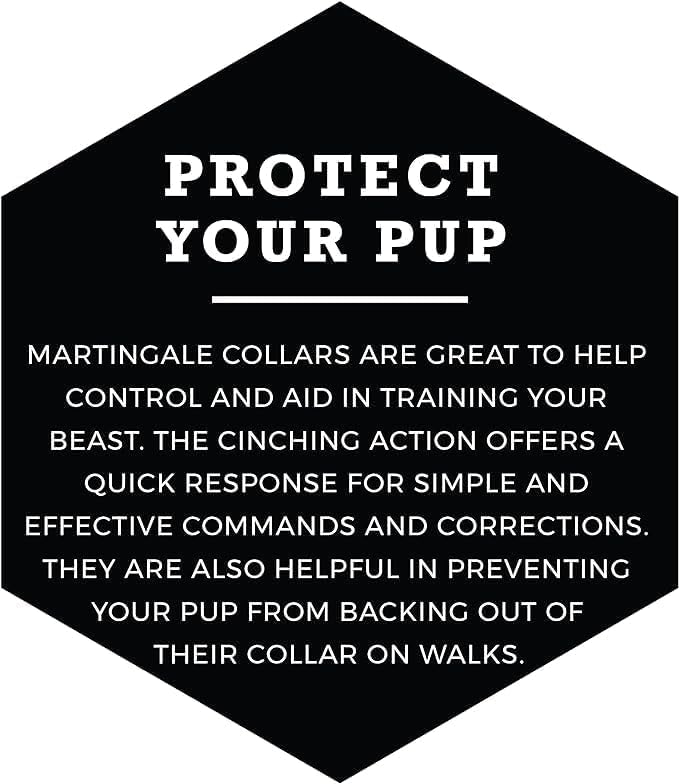 Wolfgang Heavy Duty Martingale Dog Collar with Quick Release Nylon Buckle for Walking & Training, LazyDaisy Print, Small