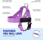 DF Co. Dog Harness | Chafe Resistant Webbing, Adjustable Neck & Chest, and Heavy Duty D-Ring | Sturdy, Comfortable, Easy to Use | Purple, Size XL