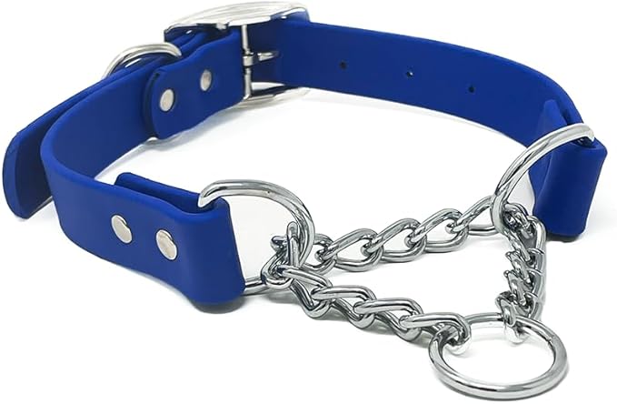 Regal Dog Products Martingale Collar for Dogs - Waterproof Biothane Collar for Small, Medium, Large Dogs - Limited Cinch Heavy Duty Chain for No Pull Dog Walking and Pet Training (Large, Blue)