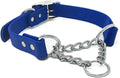 Regal Dog Products Martingale Collar for Dogs - Waterproof Biothane Collar for Small, Medium, Large Dogs - Limited Cinch Heavy Duty Chain for No Pull Dog Walking and Pet Training (Small, Blue)