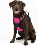 No Pull Dog Harness, Reflective Comfortable Vest Harness with Front & Back Easy Control Handle Adjustable Soft Padded Pet Vest for Small to Large Dogs(Rose,L)