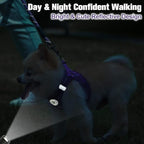 BEAUTYZOO Small Dog Harness and Leash Set,Step in No Choke No Pull Soft Mesh Dog Harnesses Reflective for Extra-Small Medium Puppy Dogs and Cats, Plaid Dog Vest Harness for XS S Pets, Purple XS