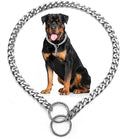 Dog Chain Collars for Small Dogs, Heavy Duty Martingale Collar Silver S Slip P Training Metal Link for XS Small Medium Large Big XL Breed Puppy Dogs