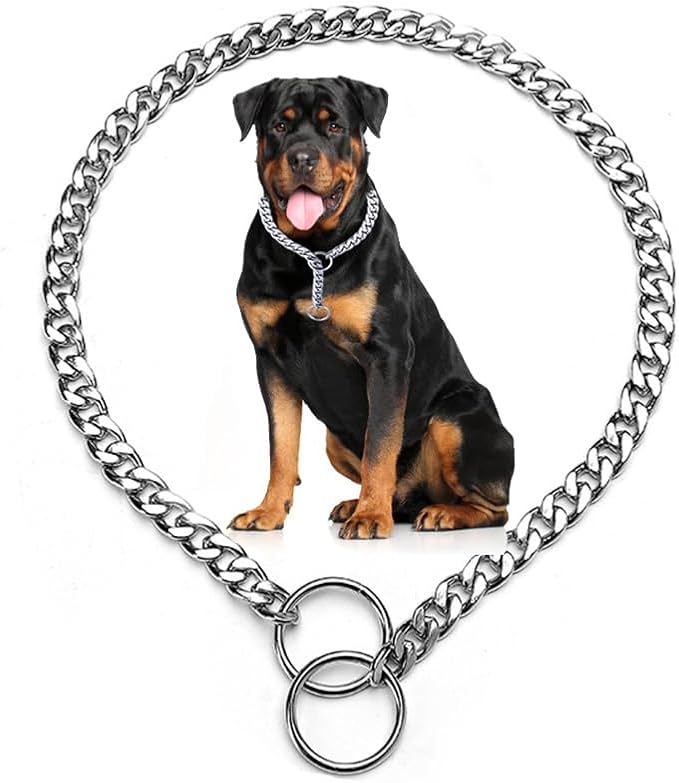Slip P Chain for Large Dogs, Silver Metal Training Link Martingale Collars for XXS XS Small Medium XL Breed Dogs, L