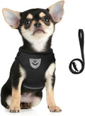 FEimaX Dog Harness and Leash Set for Walking, Soft Mesh Adjustable Easy Control Lightweight Cat Vest Harnesses with Reflective Strips, Escape Proof Small Dogs Cats Vests