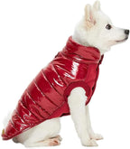 Blueberry Pet Cozy & Comfy Windproof Lightweight Quilted Fall Winter Glossy Dog Puffer Jacket in Deep Rouge, Back Length 24", Size 22, Warm Coat for Large Dogs