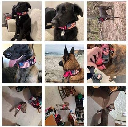 2-Inch Wide Tactical Dog Collar with Control Handle, Adjustable for Medium & Large Dogs, Military Style with Heavy-Duty Metal Buckle, USA Flag Patch & Customizable Name Plate, Training & Everyday Use