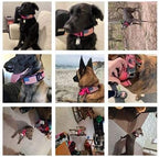 2-Inch Wide Tactical Dog Collar with Control Handle, Adjustable for Medium & Large Dogs, Military Style with Heavy-Duty Metal Buckle, USA Flag Patch & Customizable Name Plate, Training & Everyday Use