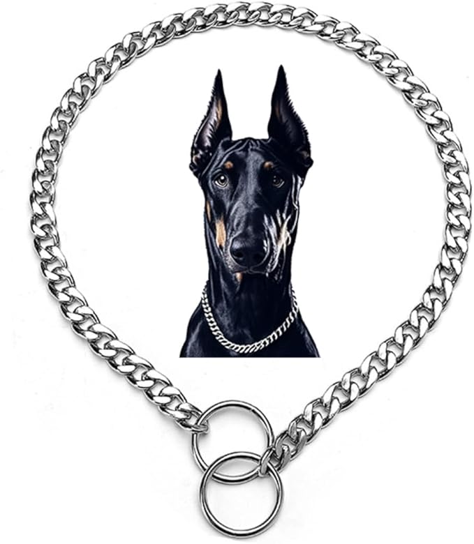 Silver Dog Collars,Metal Slip Link Dog Chain Martingale Puppy Collar Heavy Duty Training Collar Boy Girl for XS Small Medium Large Big Breed Pet,L