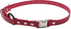 Educator 3/4-Inch Dog Training Collar Strap–ONLY Fits ME-300, ET-300/400, EZ-900, PE-900 & PG-300 Receivers – NOT Compatible with FE-580, ET-800 or UL-1200–Quick Snap Biothane Bungee Collar, Red