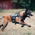 OneTigris No Pull Dog Harness for Small Dog, Mesh Design Breathable Military Dog Molle Vests with Handles, Service Dog Vest Harness for Walking Hiking Training