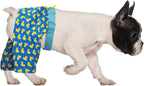 HDE Dog Swim Trunks Hawaiian Board Shorts Beach Pool Swimsuit for XS to XXL Dogs Rubber Ducks - S