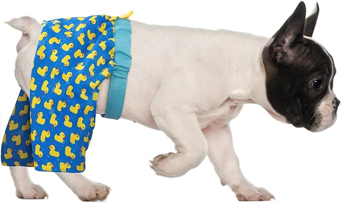 HDE Dog Swim Trunks Hawaiian Board Shorts Beach Pool Swimsuit for XS to XXL Dogs Rubber Ducks - S