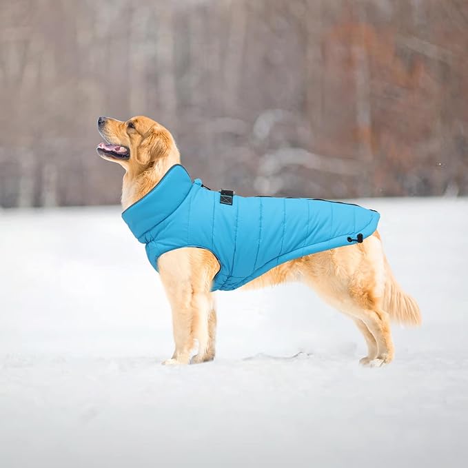 Geyecete Dog Winter Warm Coat Windproof Snowproof Pet Outdoor Jacket for Small Medium Large Dogs - Blue - M