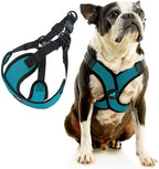 Gooby Comfort X Step in Lite Dog Harness - Choke Free, Escape Free with Light Breathable Mesh - Dog Harness for Small and Medium Breeds - Quick Release Buckle, Metal D-Rings - Turquoise, Medium