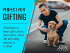 Blue Martingale Collar for Dogs - Heavy Duty Nylon Pet Collars for Escape-Free, No Pull Training & Walking with Alloy Metal Release Buckle & Reflective D Ring, One Time Adjustment, Safe & Secure, L