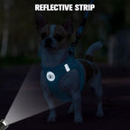 BEAUTYZOO Step in Dog Harness and Leash Set, Polka Dot Pattern Reflective Dog Harness No Pull No Choke Puppy Harness for XXS XS S Dogs Cats, Soft Padded Mesh Vest Harnesses for Girl and Boy Pets