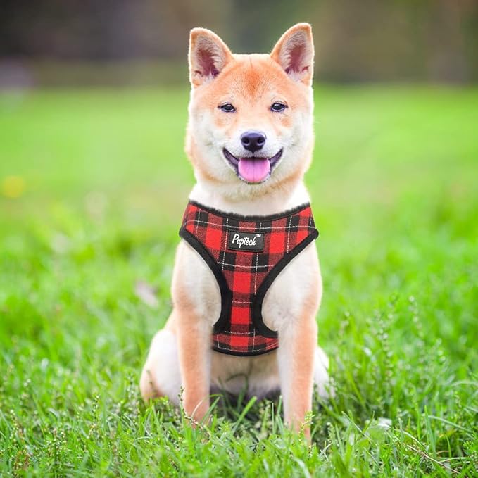 PUPTECK Soft Mesh Dog Harness and Leash Set Pet Puppy Cat Comfort Padded Vest No Pull Harnesses, Red&Black, S