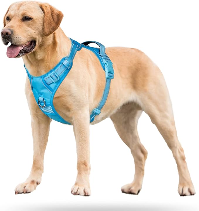 PoyPet No Pull Dog Harness, No Choke Reflective Dog Vest, Adjustable Pet Harnesses with Easy Control Padded Handle for Small Medium Large Dogs(Blue,M)