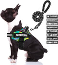 Service Dog Vest Harness and Leash Set, Animire in Training Dog Harness with 10 Dog Patches, Reflective Dog Leash with Soft Handle for Small, Medium, Large, and Extra-Large Dogs (Multi-Colored,M)