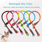 MayPaw Slip Collar Nylon Rope Adjustable Collar for Dog Training- No Pull Round Martingale Dog Collars for Small Medium Large Dogs (24" x 1/2", Orange)
