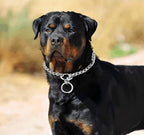 Freezx Dog Choke Collar Slip P Chain,Heavy Duty Metal Training Choke Collars, Adjustable Weather Proof Alloy Steel Chains for Small Medium Large Dogs (XL, Diameter-4mm)