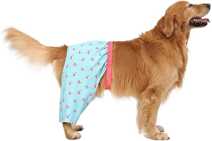 HDE Dog Swim Trunks Hawaiian Board Shorts Beach Pool Swimsuit for XS to XXL Dogs Party Like a Flock Star - XXL