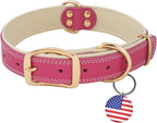 ADITYNA Heavy-Duty Pink Leather Dog Collar for Large Dogs - Soft Padded for Comfort - Girl Dog Collar for Walking, Training, and Hiking