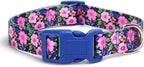 Dog Collar with Leash Airtag Holder Case Set - Dog Collars for Male Female Boy Girl Puppy X-Small Small Medium Large Dogs Walking Running Training - Daisy/S